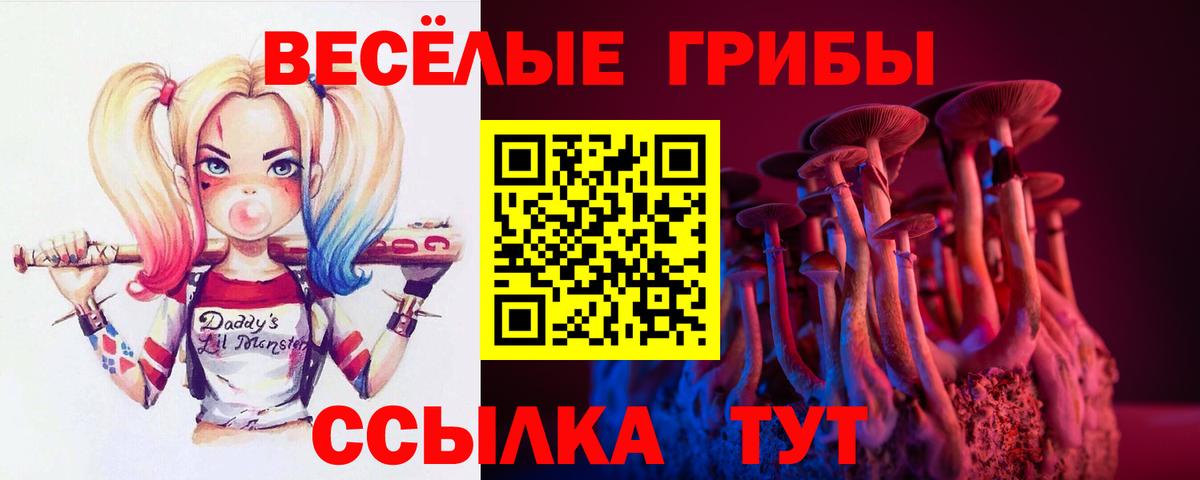 Галлюциногенные грибы мухоморы Ялуторовск