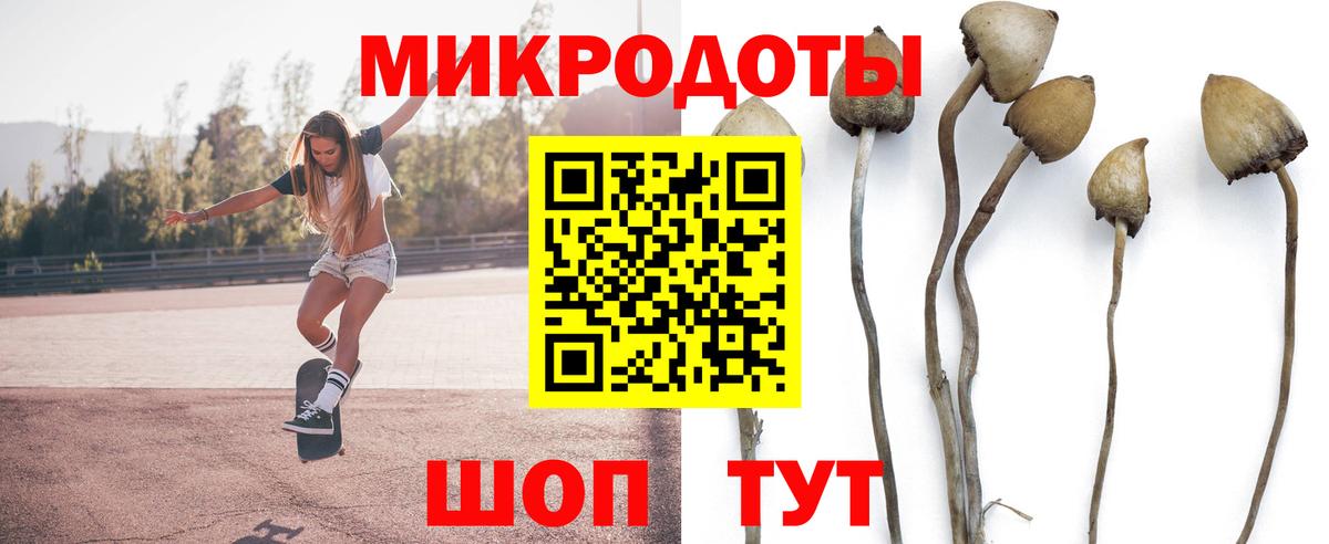 Галлюциногенные грибы Cubensis  Вход с VPN  Псилоцибиновые грибы Cubensis  Ялуторовск 